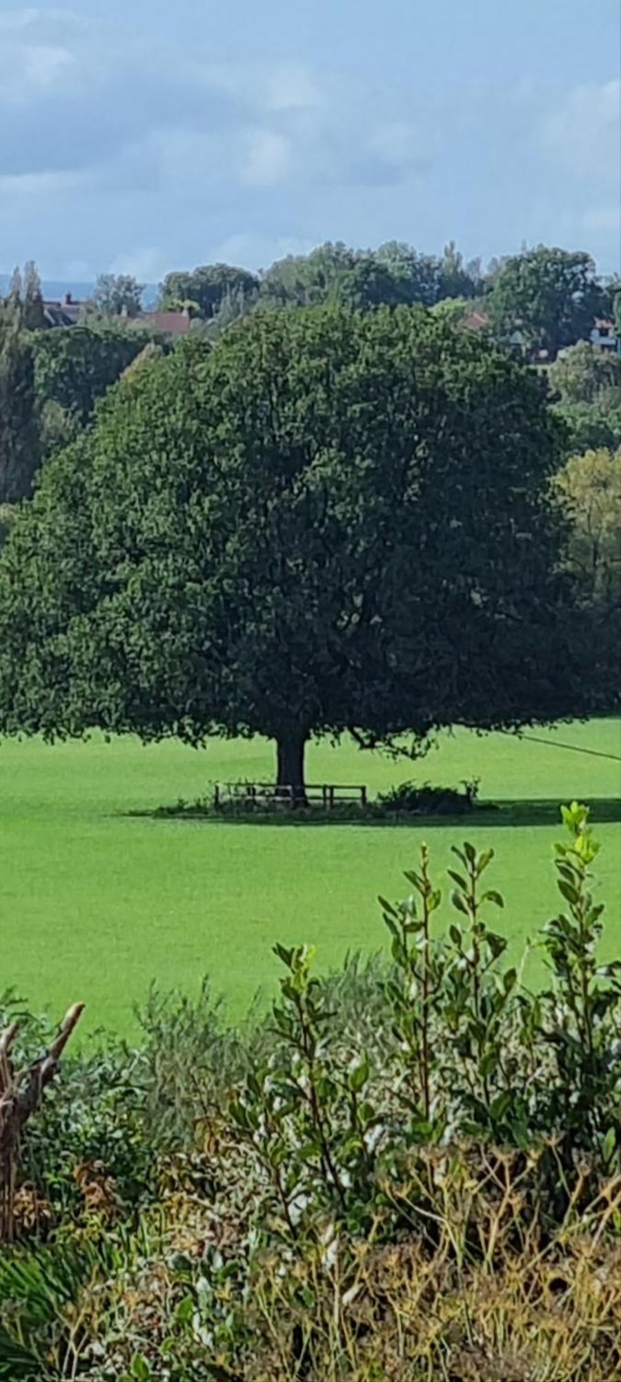 Ross-On-Wye Holiday Cottage Εξωτερικό φωτογραφία