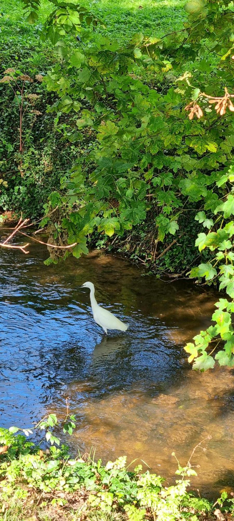 Ross-On-Wye Holiday Cottage Εξωτερικό φωτογραφία